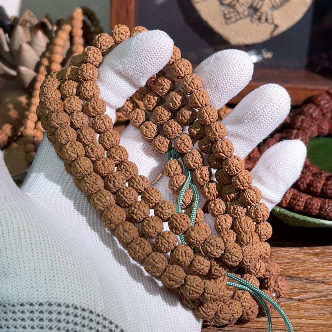 金刚菩提手串福利门墩龙