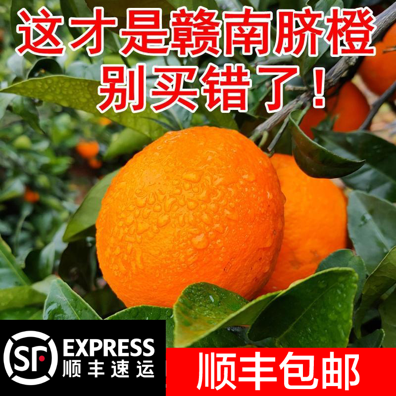 正宗赣州赣南甜脐橙大果新鲜应季水果香橙子多汁江西脐橙产地直发