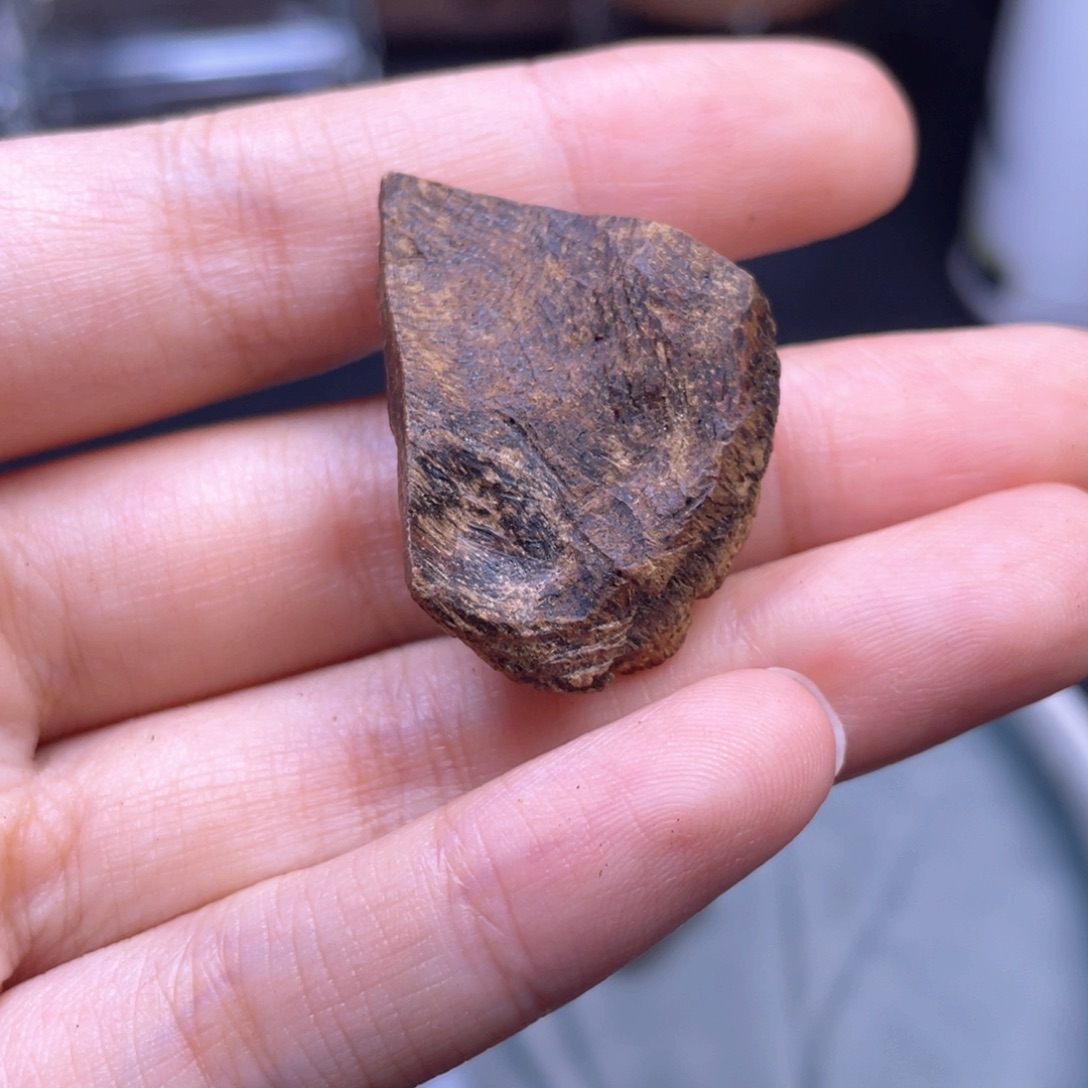 霏***常香榧木3克海南大山沉水老包头