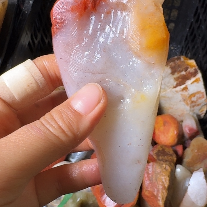 三***七寿山石寿山石的价格