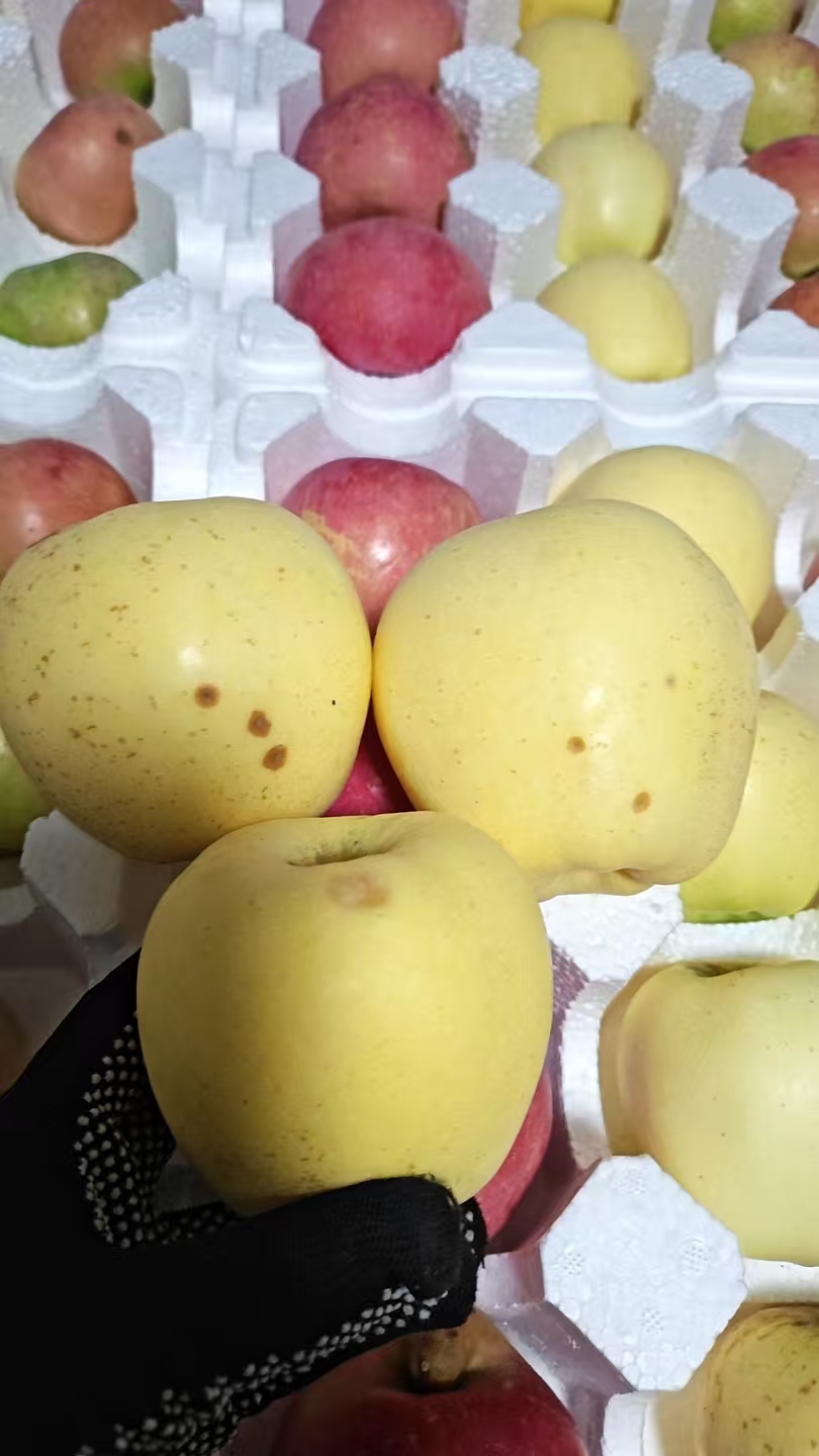 微瑕苹果一个及赠品