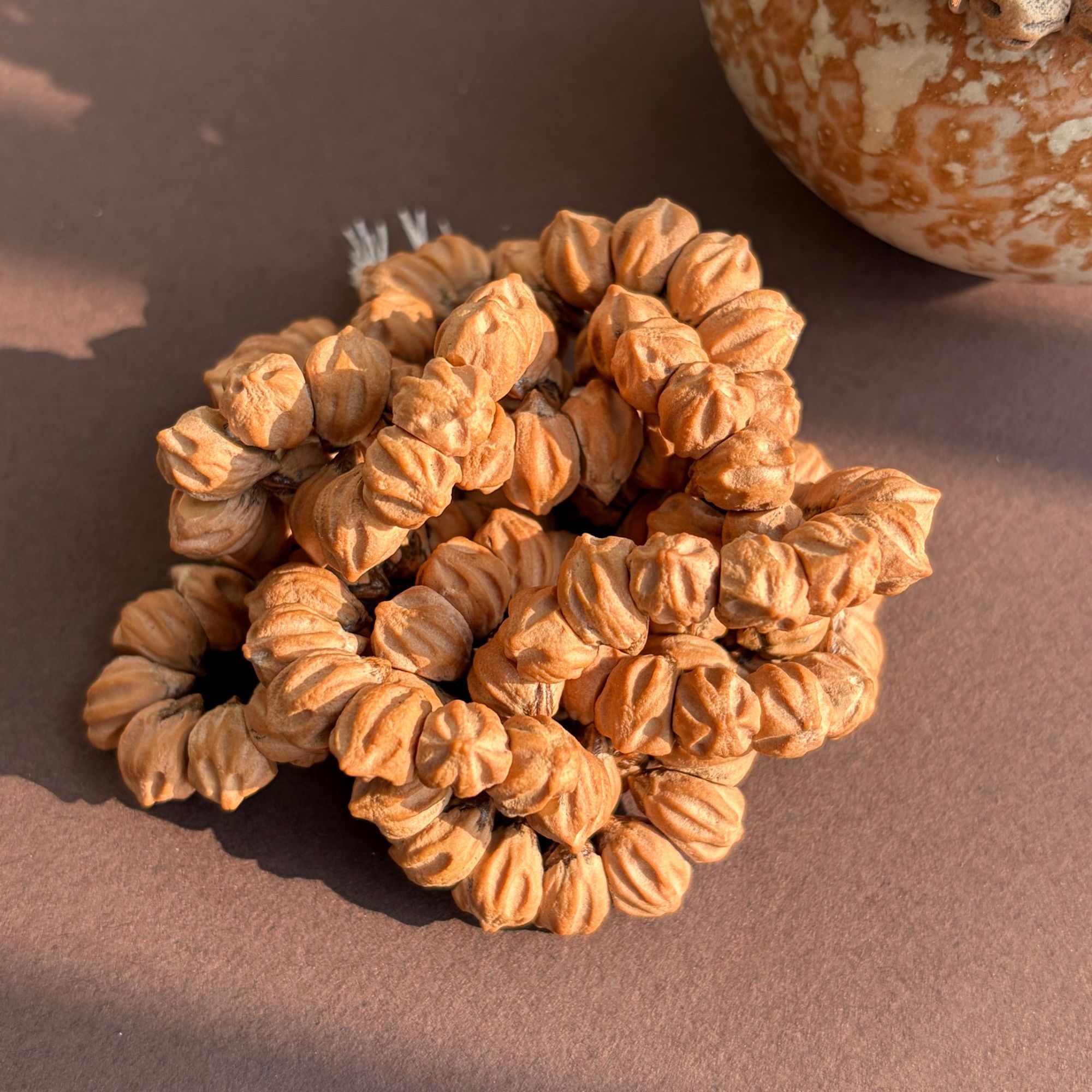 毕业级-【九尾狐】热振玉化皮柏香籽-玻璃底质感