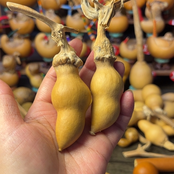 咖***豆瑕疵葫芦处理一下