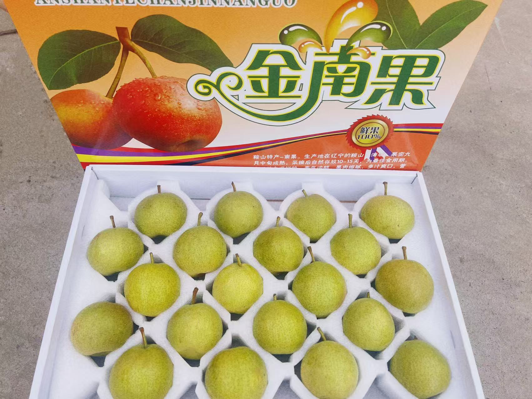 正宗英不落南果梨 白板特大