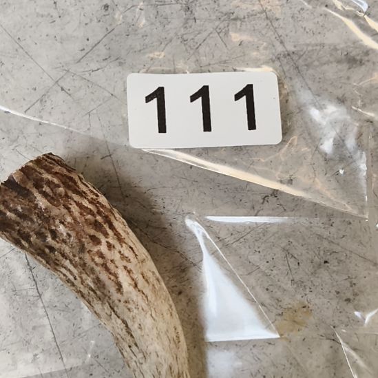 用***7鹿角鹿角鹿角鹿角鹿角鹿角