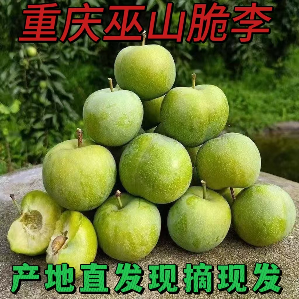 重庆巫山脆李新鲜水果当季整箱青脆李产地直发包邮