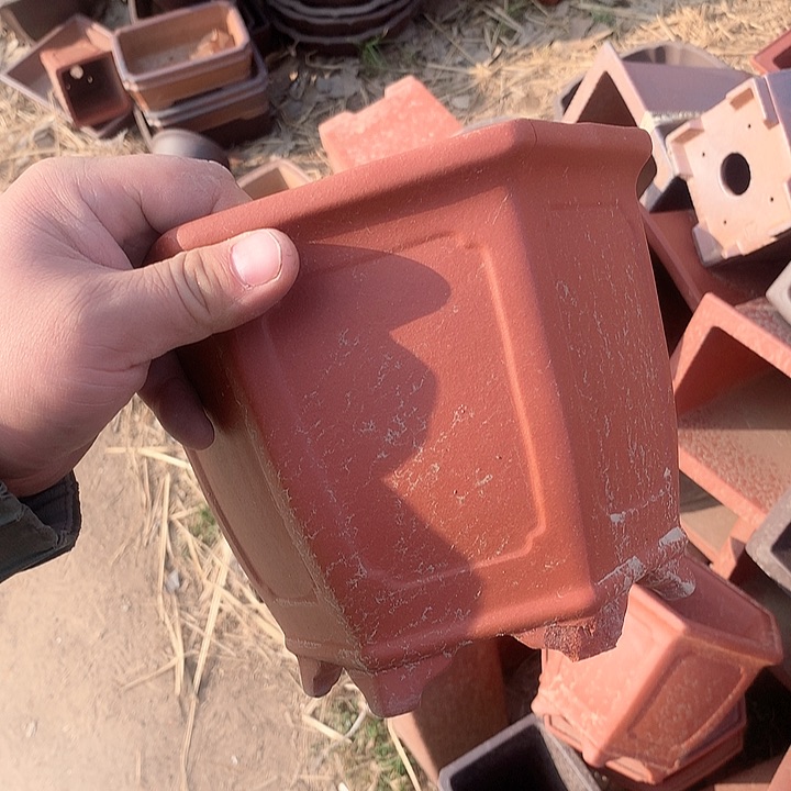 紫砂哈哈真的是太喜欢啦嘻嘻嘻嘻