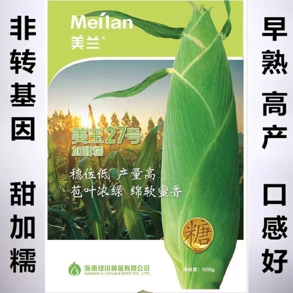 原厂【正品授权】美玉27加甜糯玉米种子