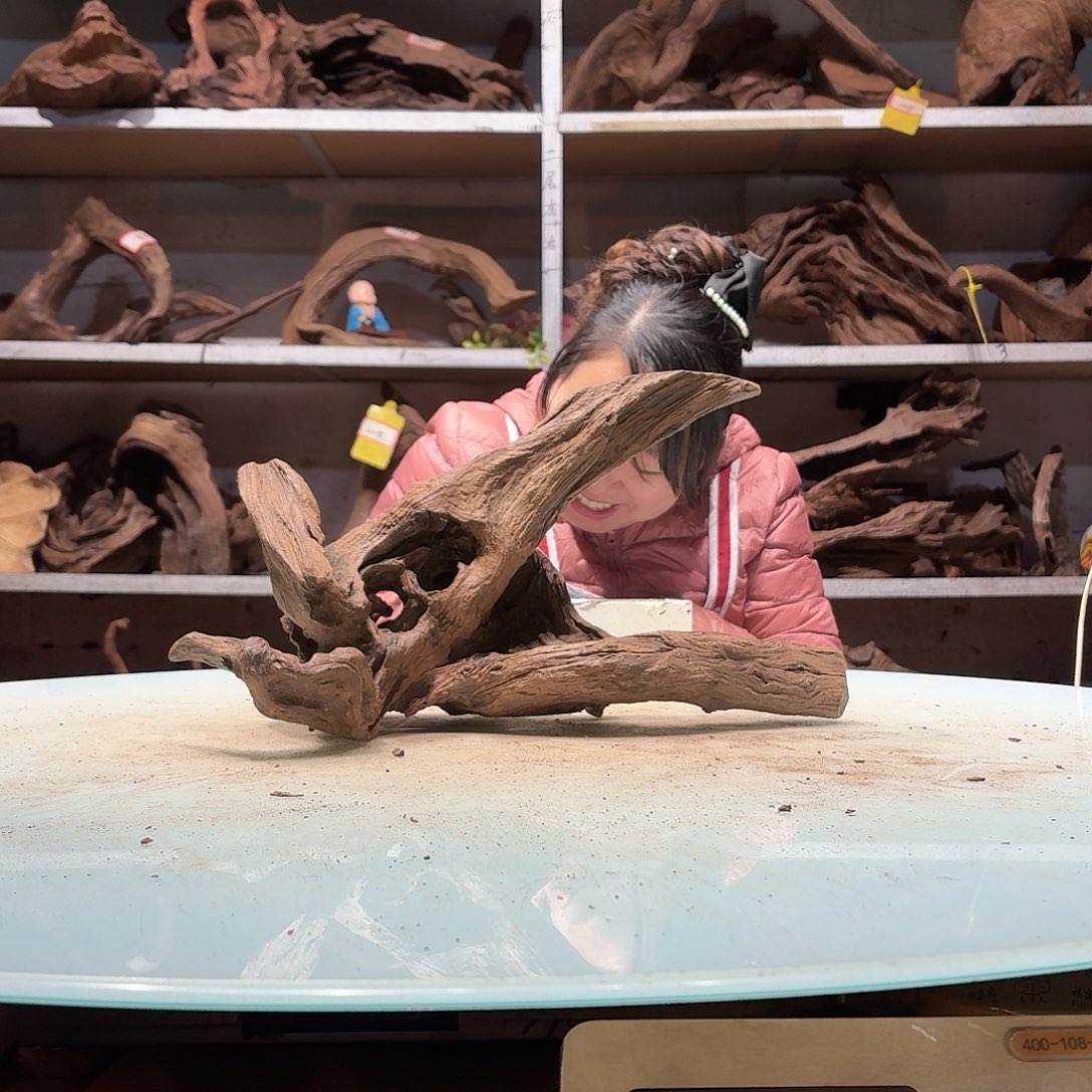 倍诸沉木不包损必褪色6839