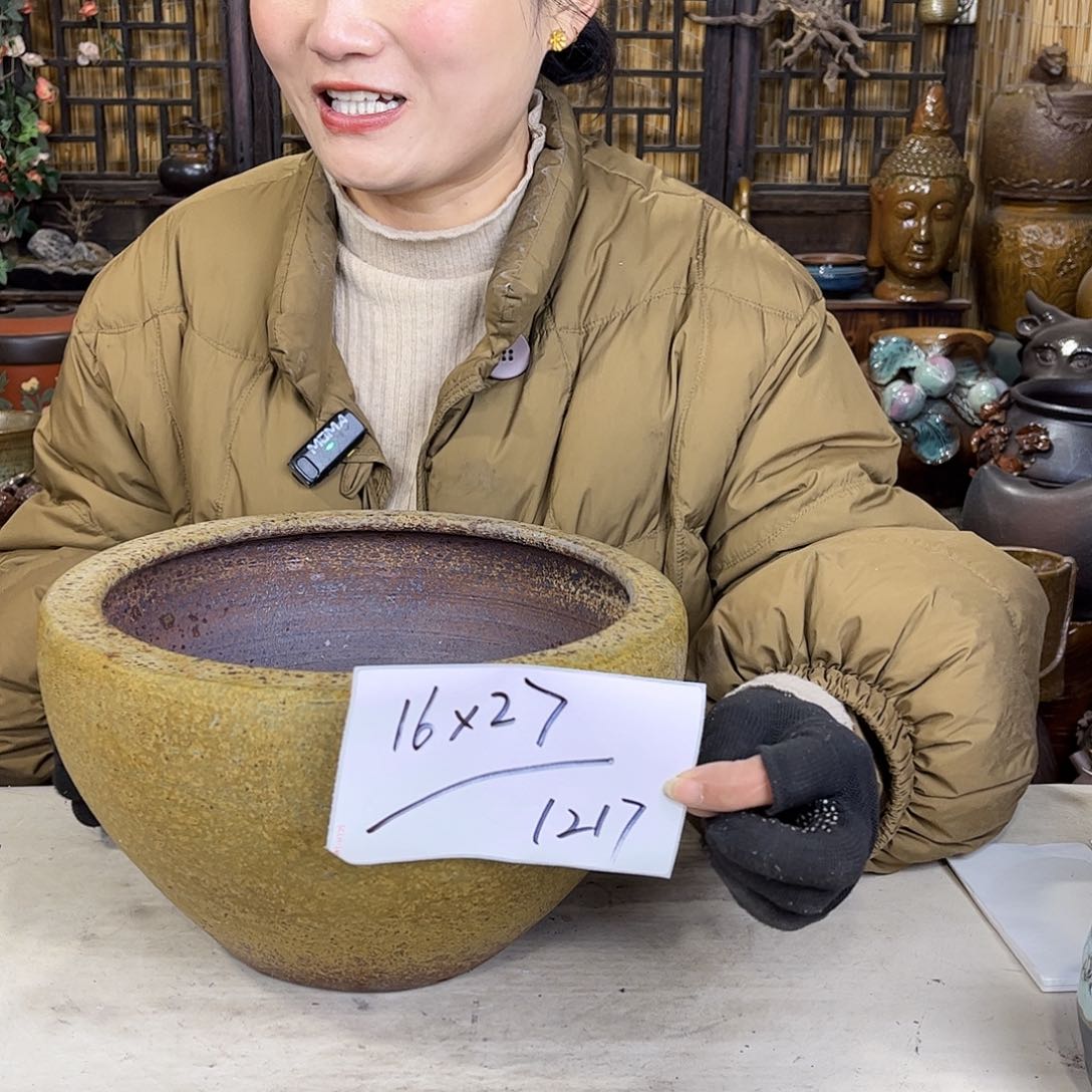 紫砂花盆美美美美美