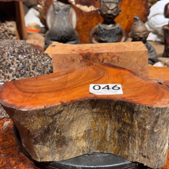 大果紫檀（缅甸花梨）