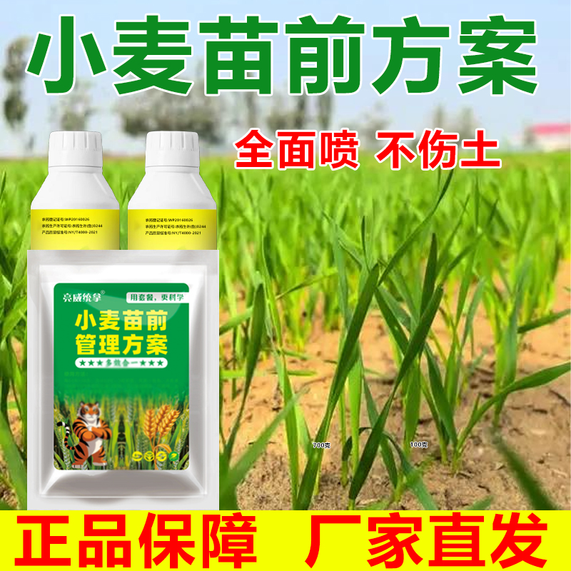 亮威种小麦前土壤使用苗前管理方案喷土壤管理地块驱杀灭虫卫生剂