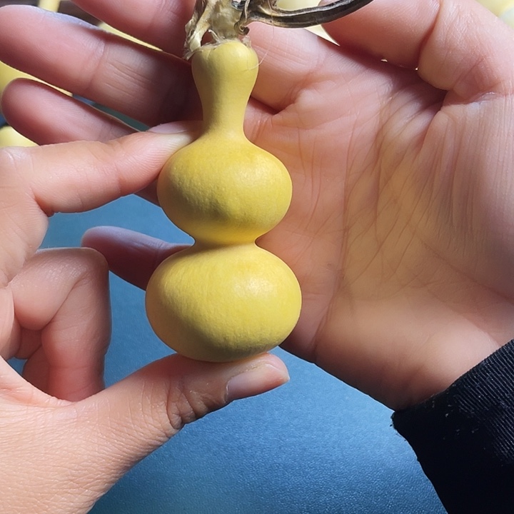 一***间大叶紫檀（黑酸枝木类）