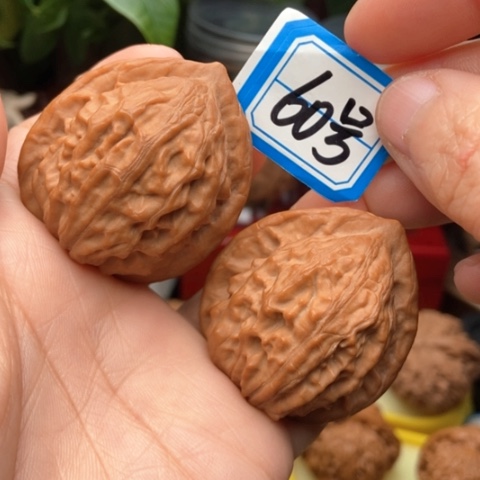 文玩核桃吊坠大红袍40全品