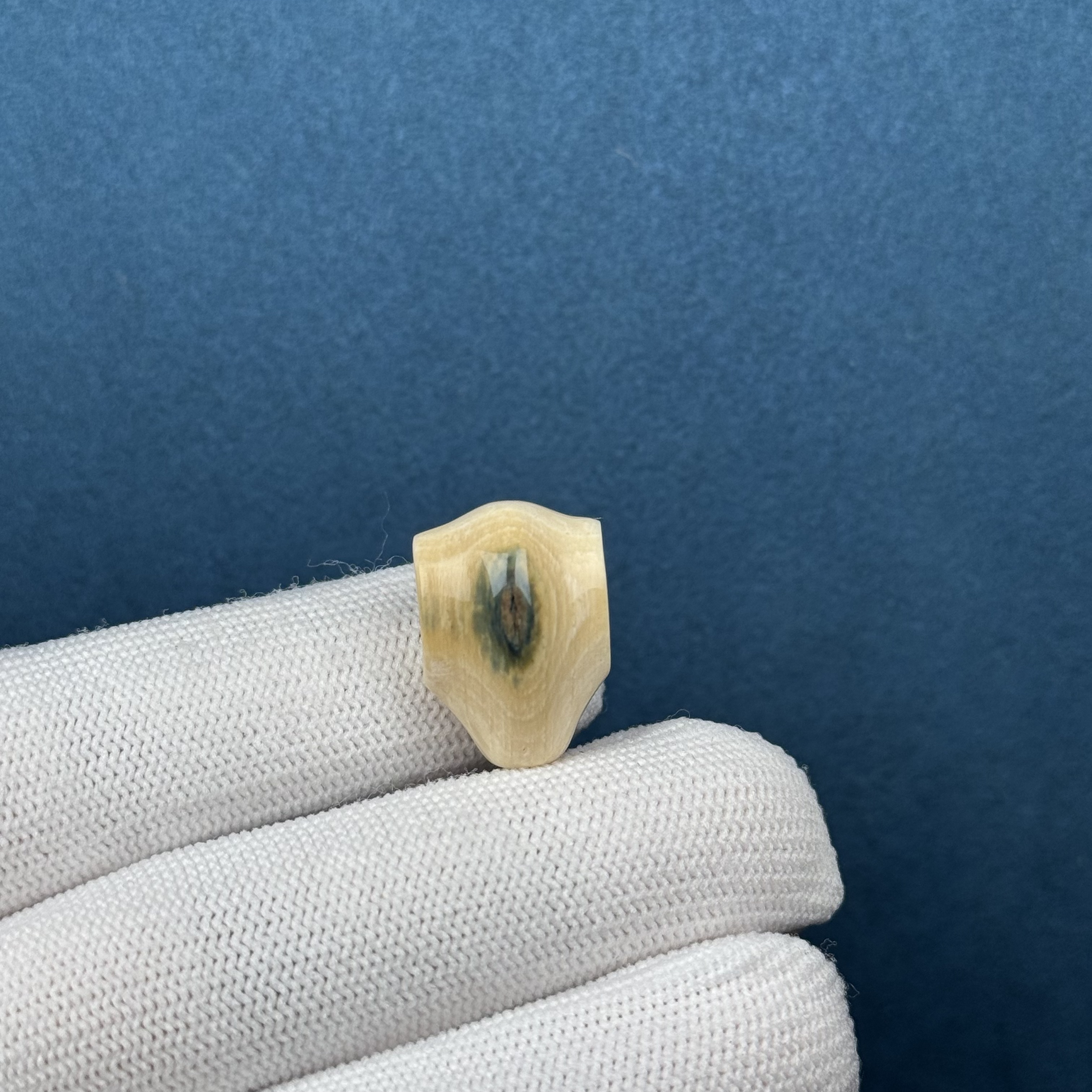 D81-70天然猛犸牙 蓝眼睛鲨鱼背三通 13.8*19.5*13.5mm 支持复检