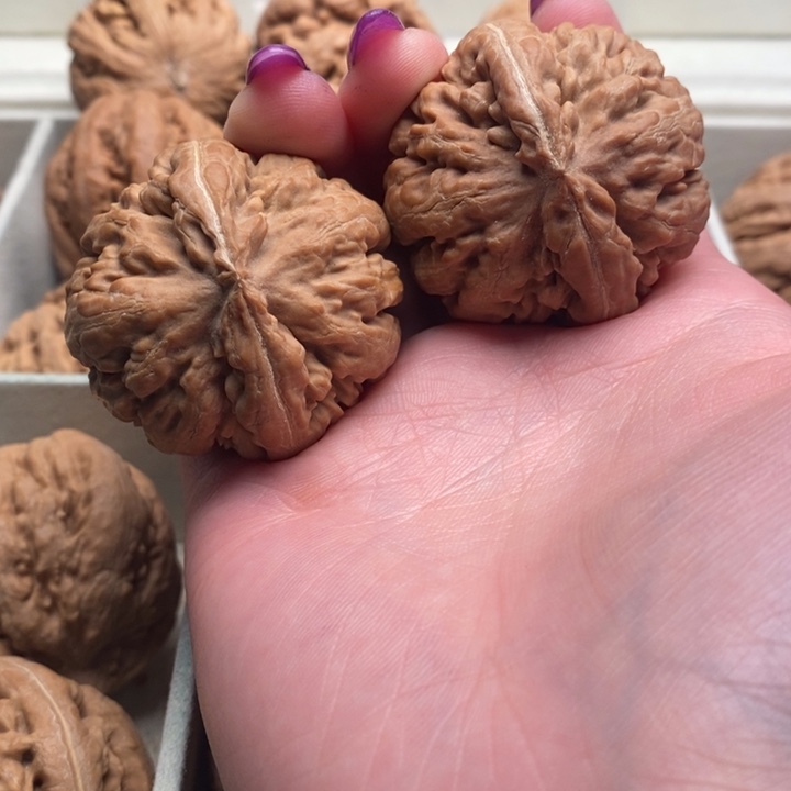 j***5吊坠文玩核桃霸王龙