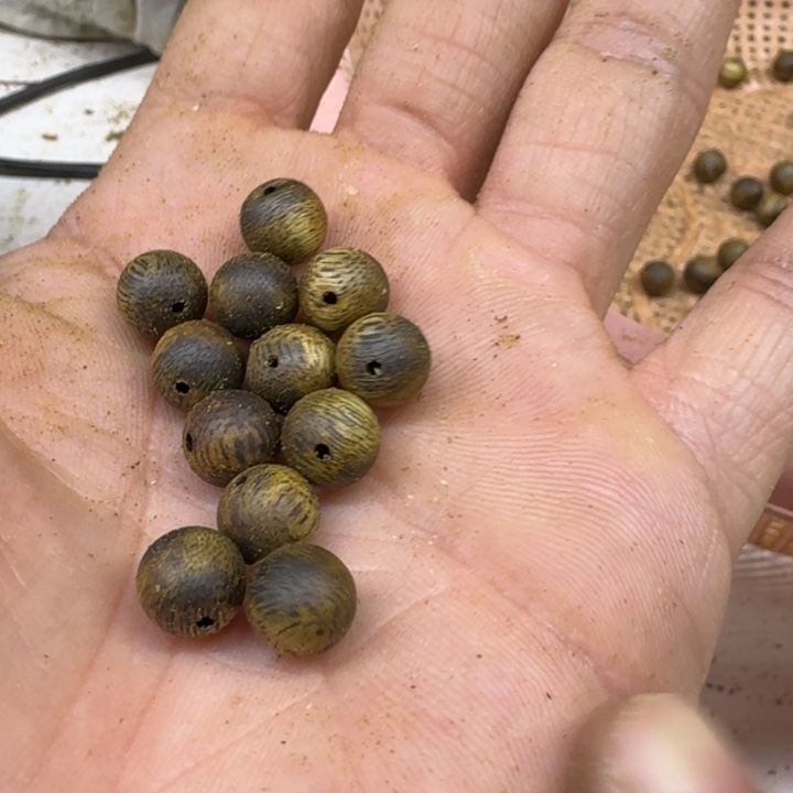 菠***蜜沉香沉香碎屑棋楠散珠12颗