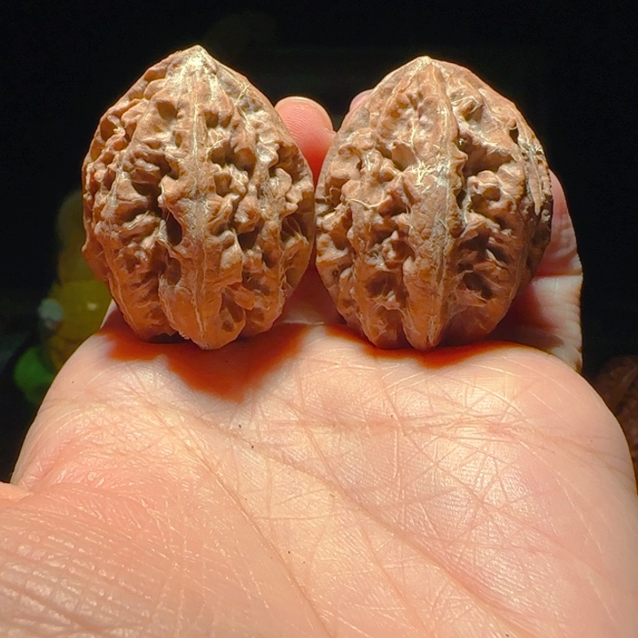 文玩核桃吊坠米子14