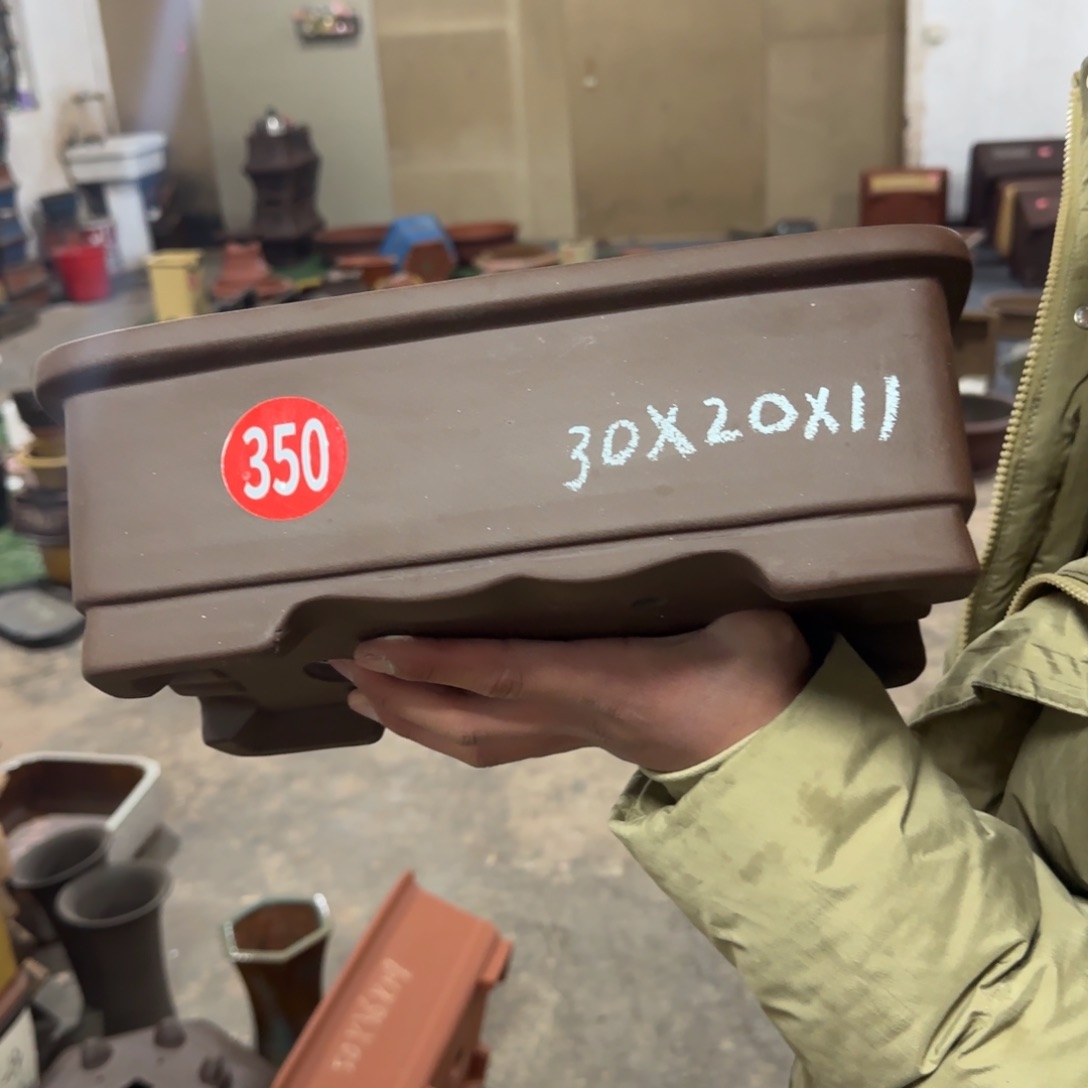 紫砂花盆呜呜呜呜