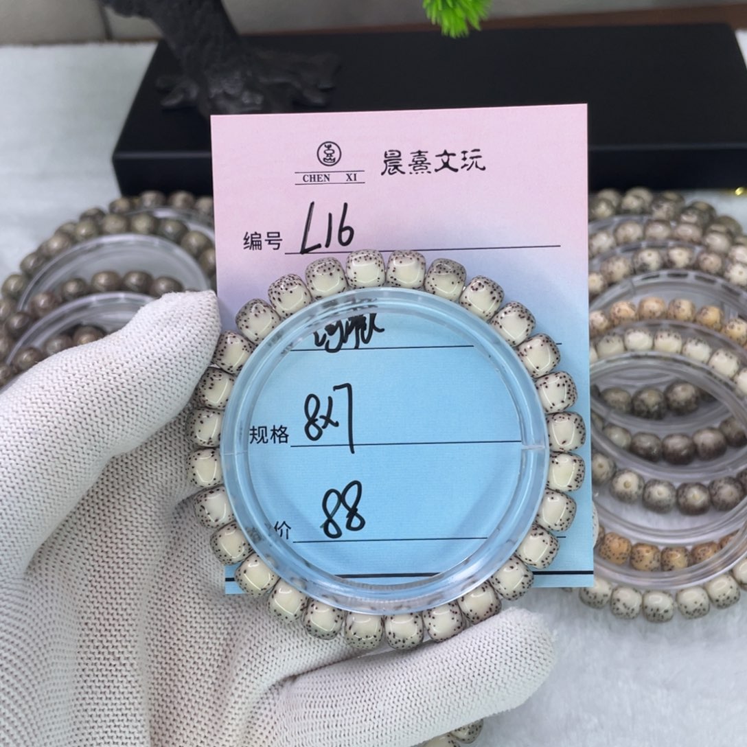 陈***志手串星月菩提16河豚