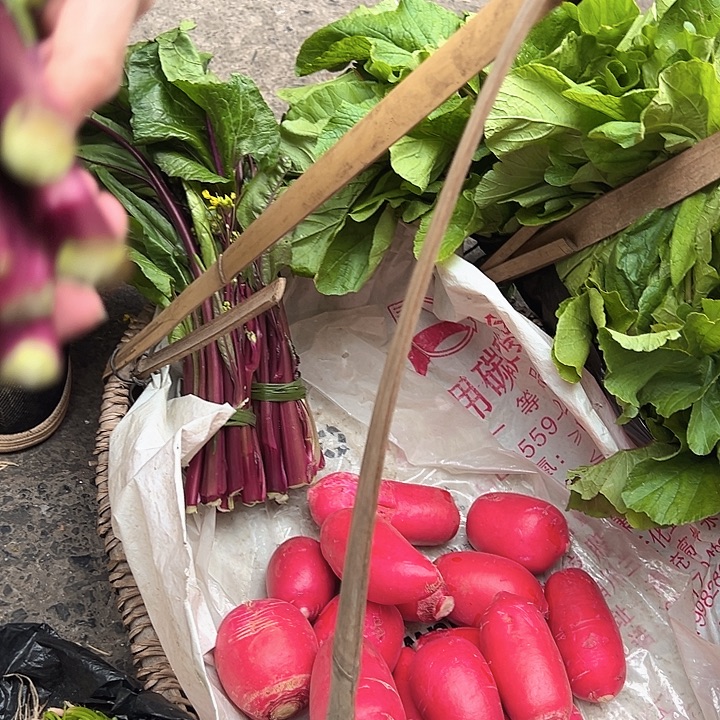 红菜苔1把中国大陆