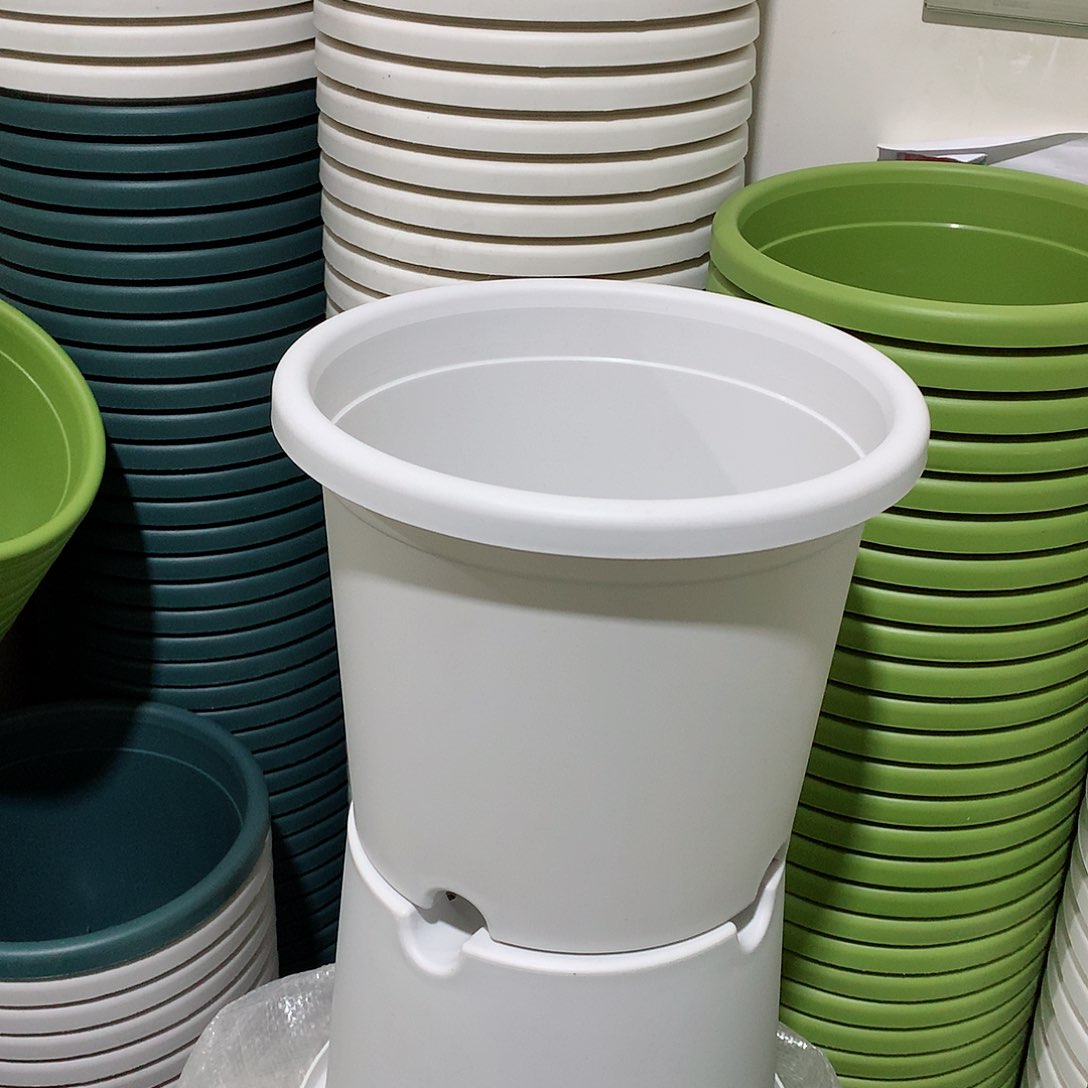 树脂四季口21白10个无托