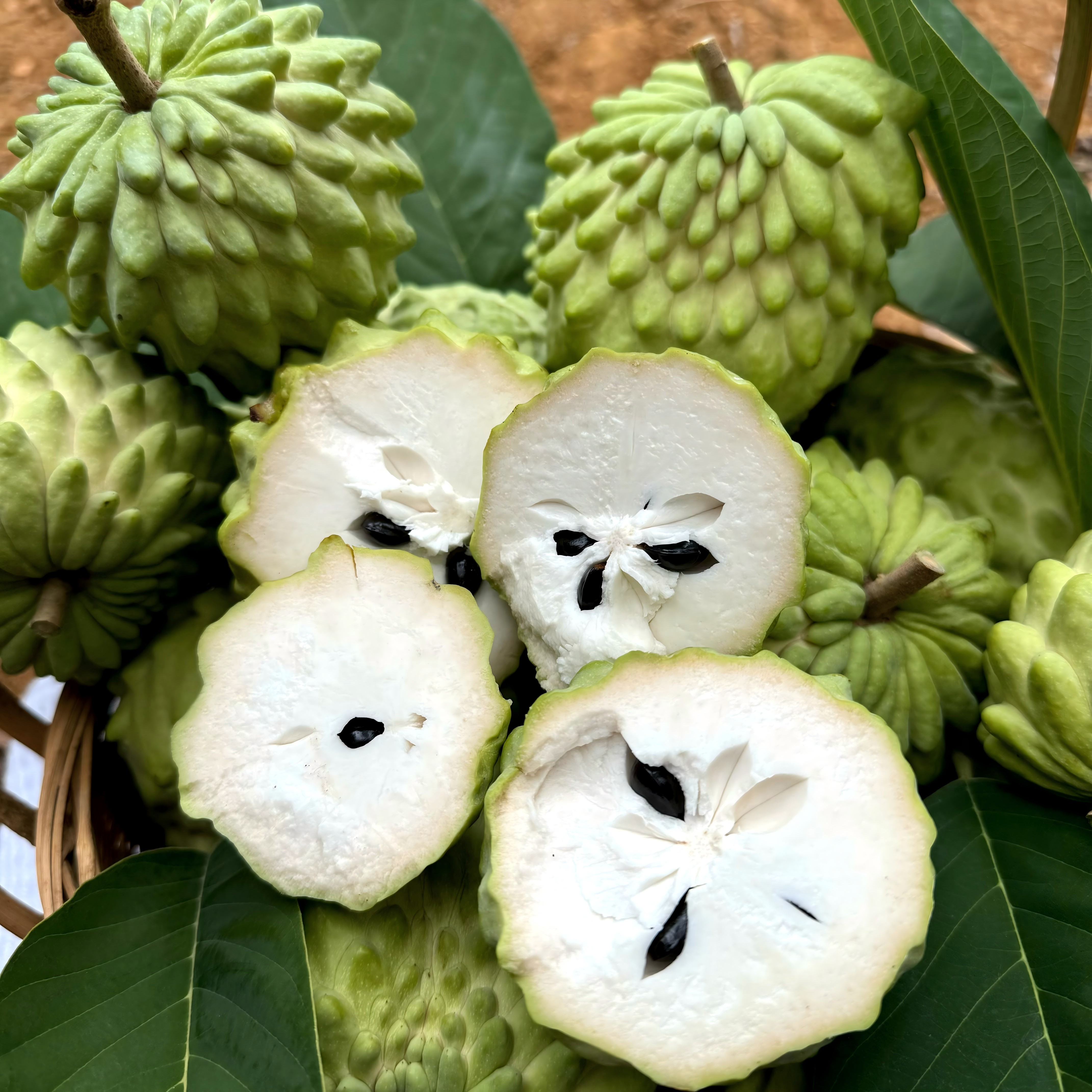 【淋大妈】云南高原牛奶凤梨释迦果（香甜软糯）5斤装