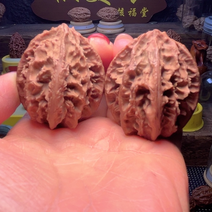 核桃9号车放漏漏漏漏