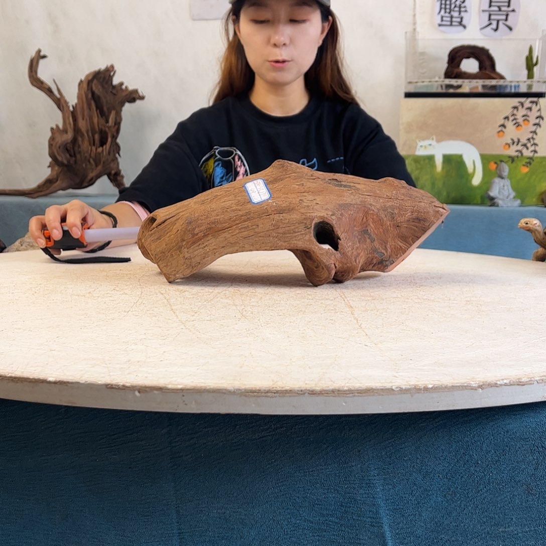 沉木造景寄居蟹景