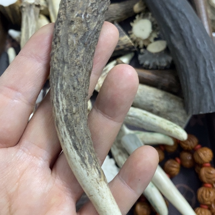 名***鲁专拍专拍专拍专拍