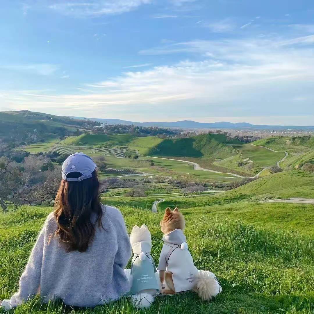 2025百搭时尚春秋显瘦百搭通勤减龄外套外穿上衣休闲气质新款简约