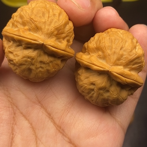 文玩核桃把件39尺金龟