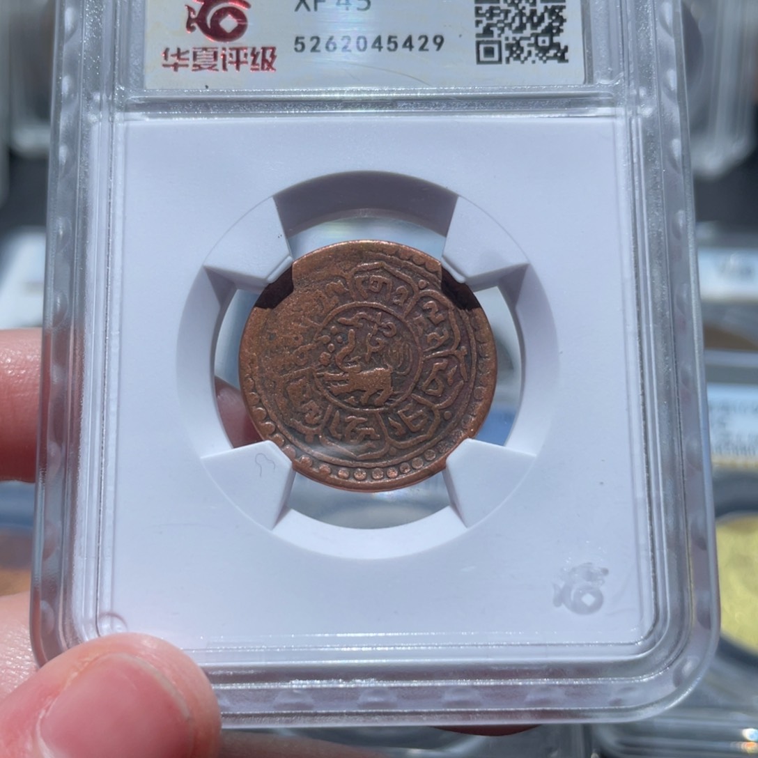 金属通古博今姚姚5429