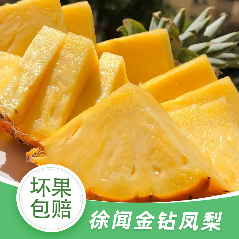 徐闻金钻凤梨8斤新鲜当季水果自然熟香甜热带水果清甜爽口即食