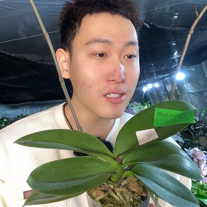 无花朵黑白独角兽