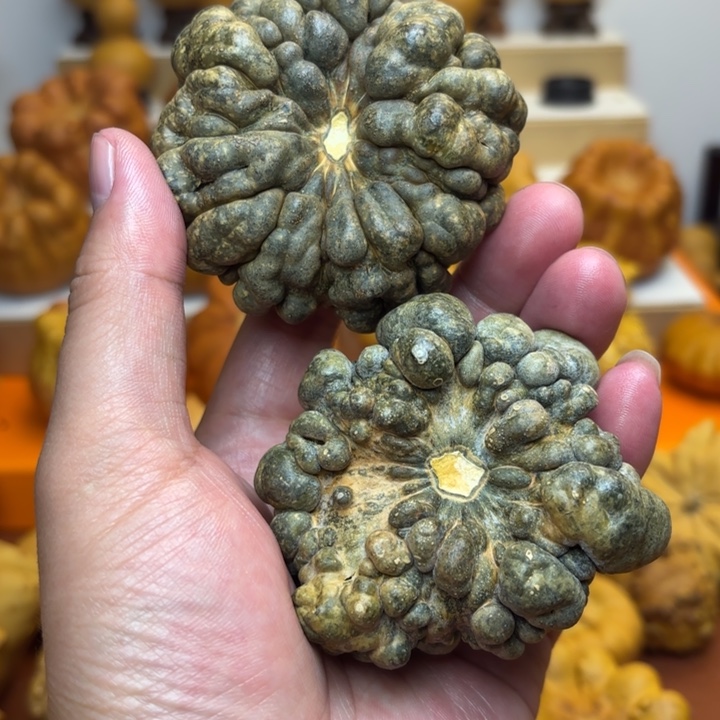 特价瑕疵福利不退不换