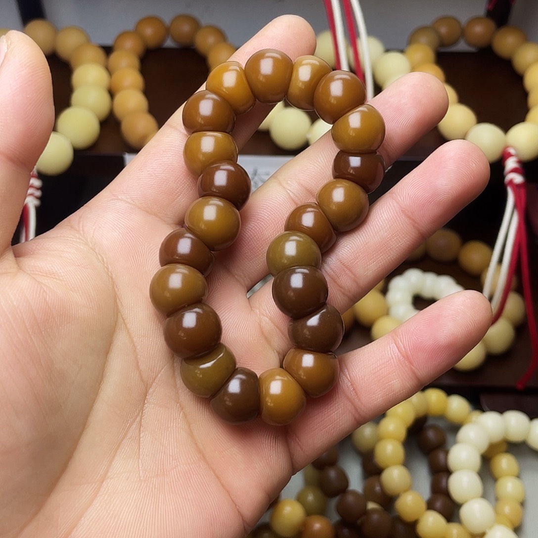 贝***海吊坠菩提根/象牙果