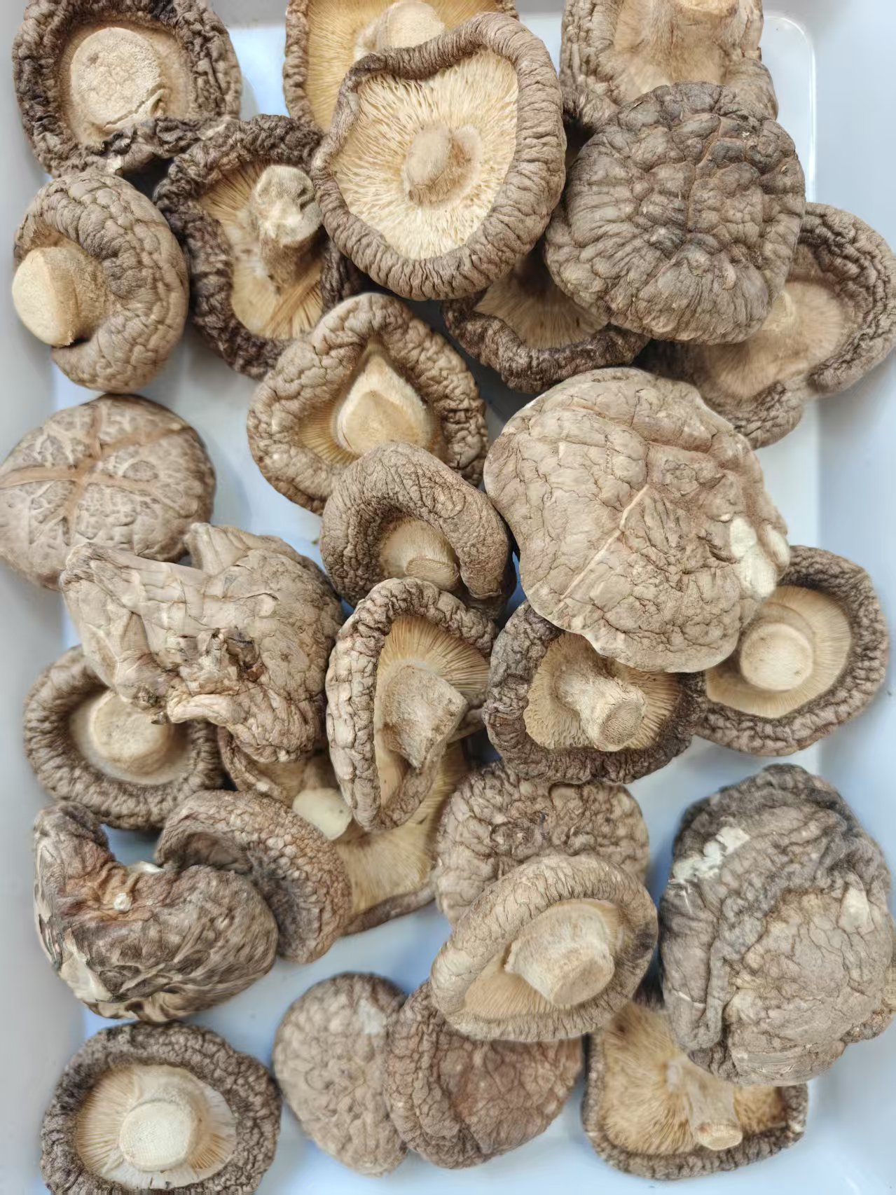 [双妹暖冬专属]云南山货大野金丝香菇