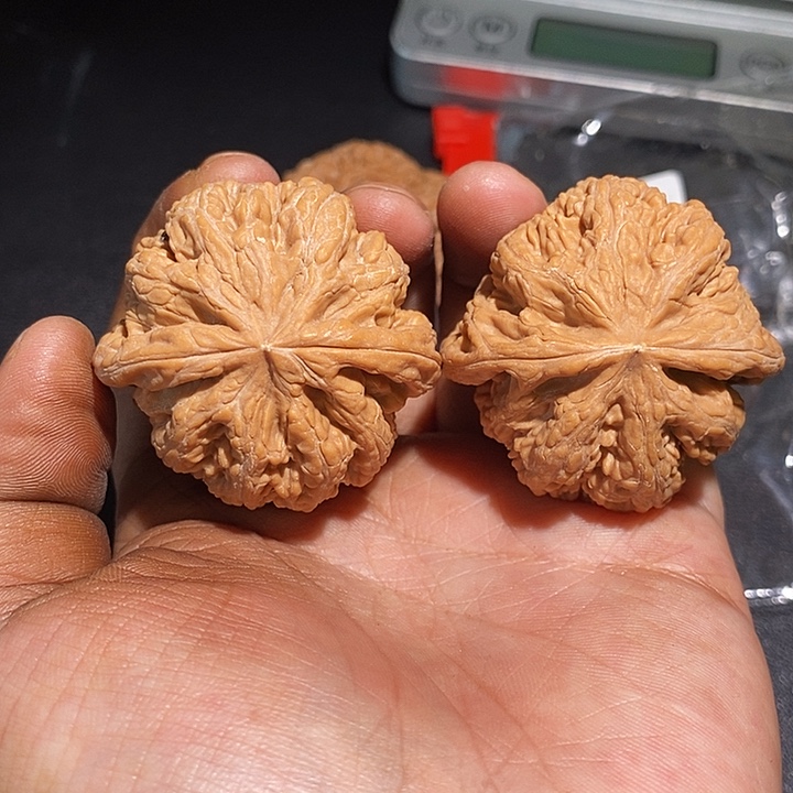 手串/手链核桃42 粗筋