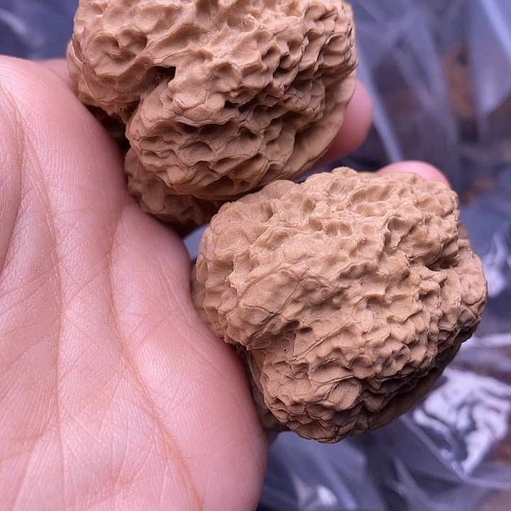 用***0文玩核桃把件   138