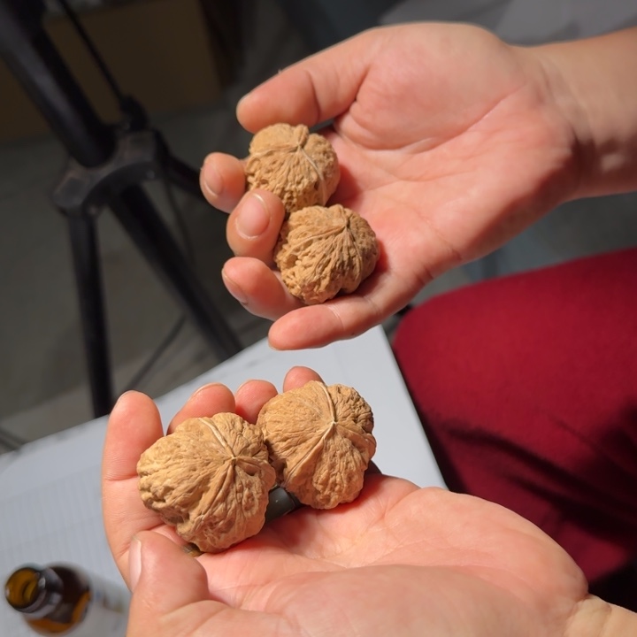 文玩核桃把件铁22号蟾王三棱正奔