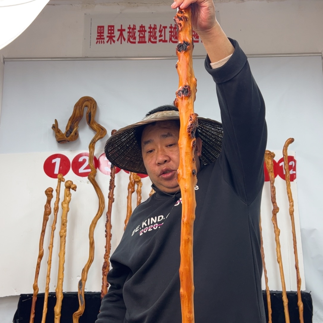 金***堂其他黑果木黑果木065