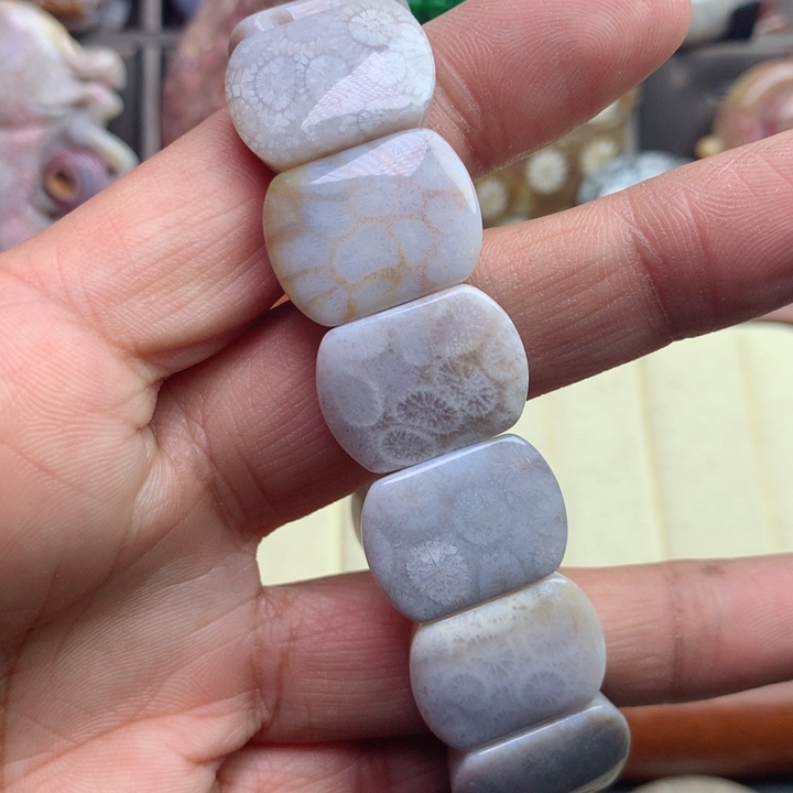 硅化珊瑚（珊瑚玉）颈饰未镶嵌