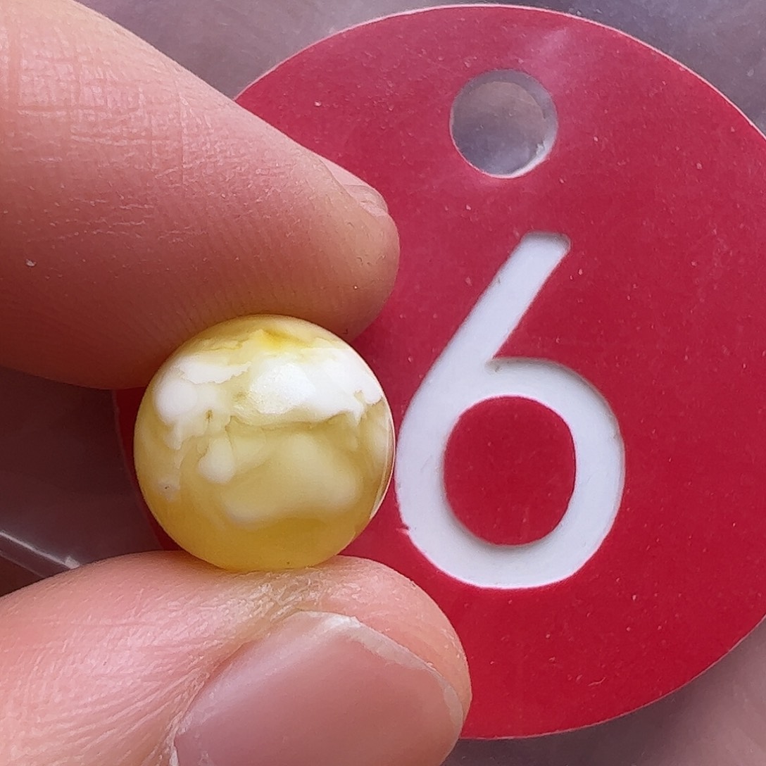 蜜蜡未镶嵌珠宝奇石10mm花粉