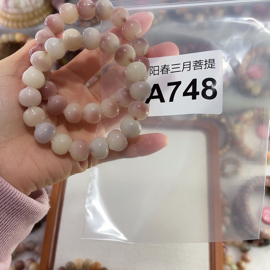 星***~菩提根/象牙果吊坠