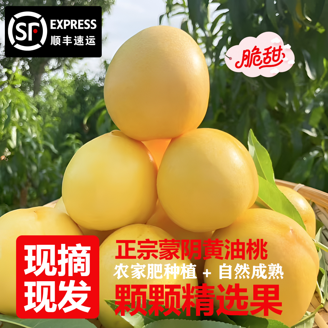 品农草正宗蒙阴蜜桃黄桃新鲜现摘顺丰包邮产地直销特大果当季热卖