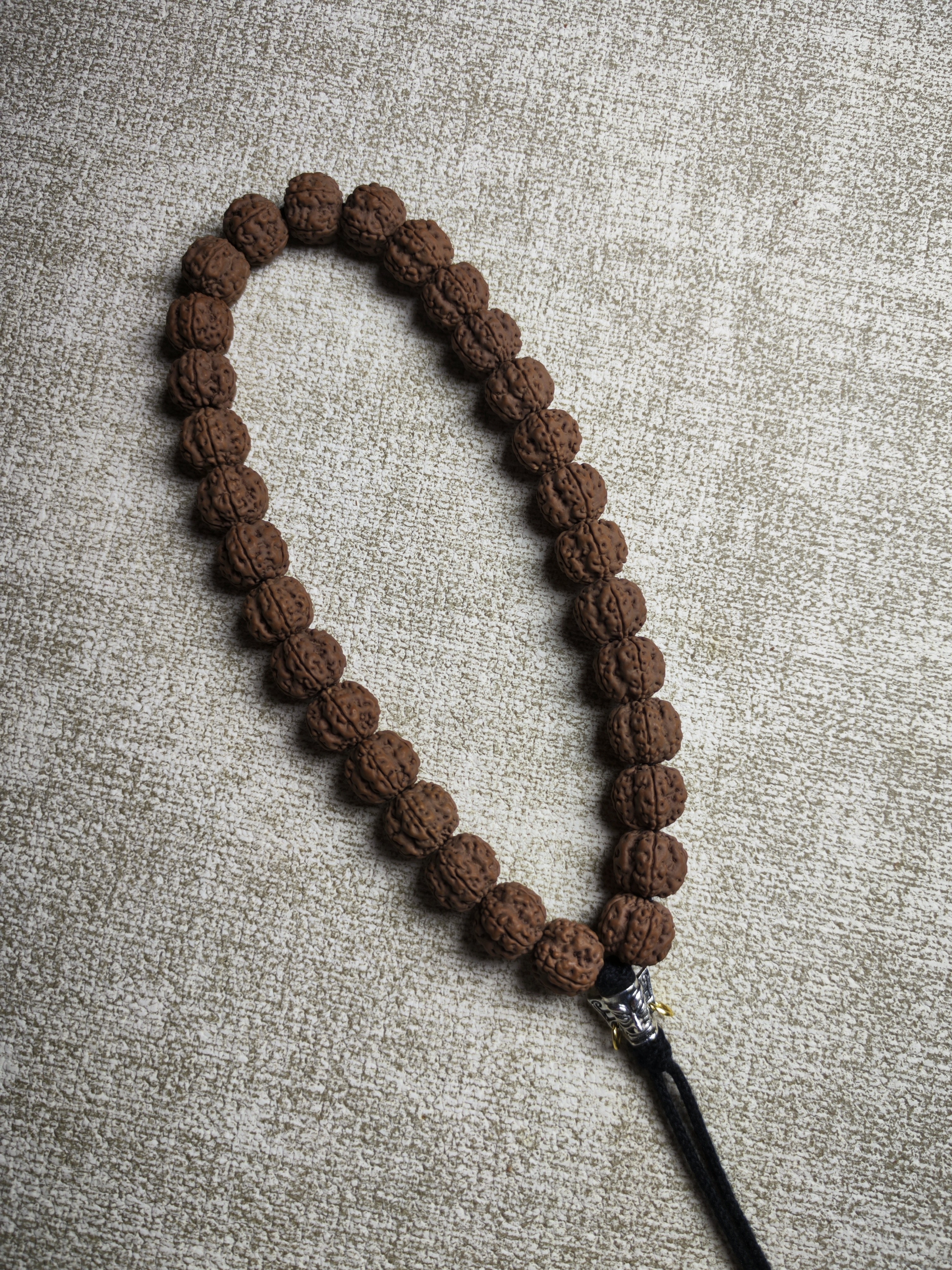 老树梅花福利体验链接小金刚手持