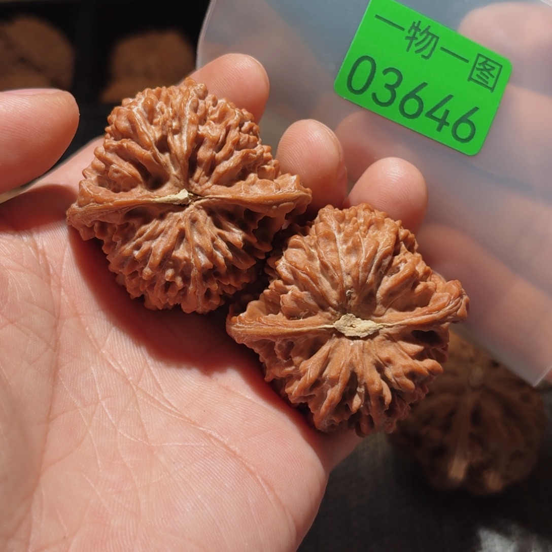 文玩核桃把件满天星