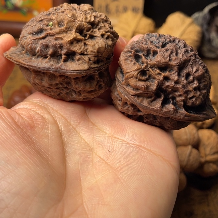 猫***呀云南野生铁核桃编号40