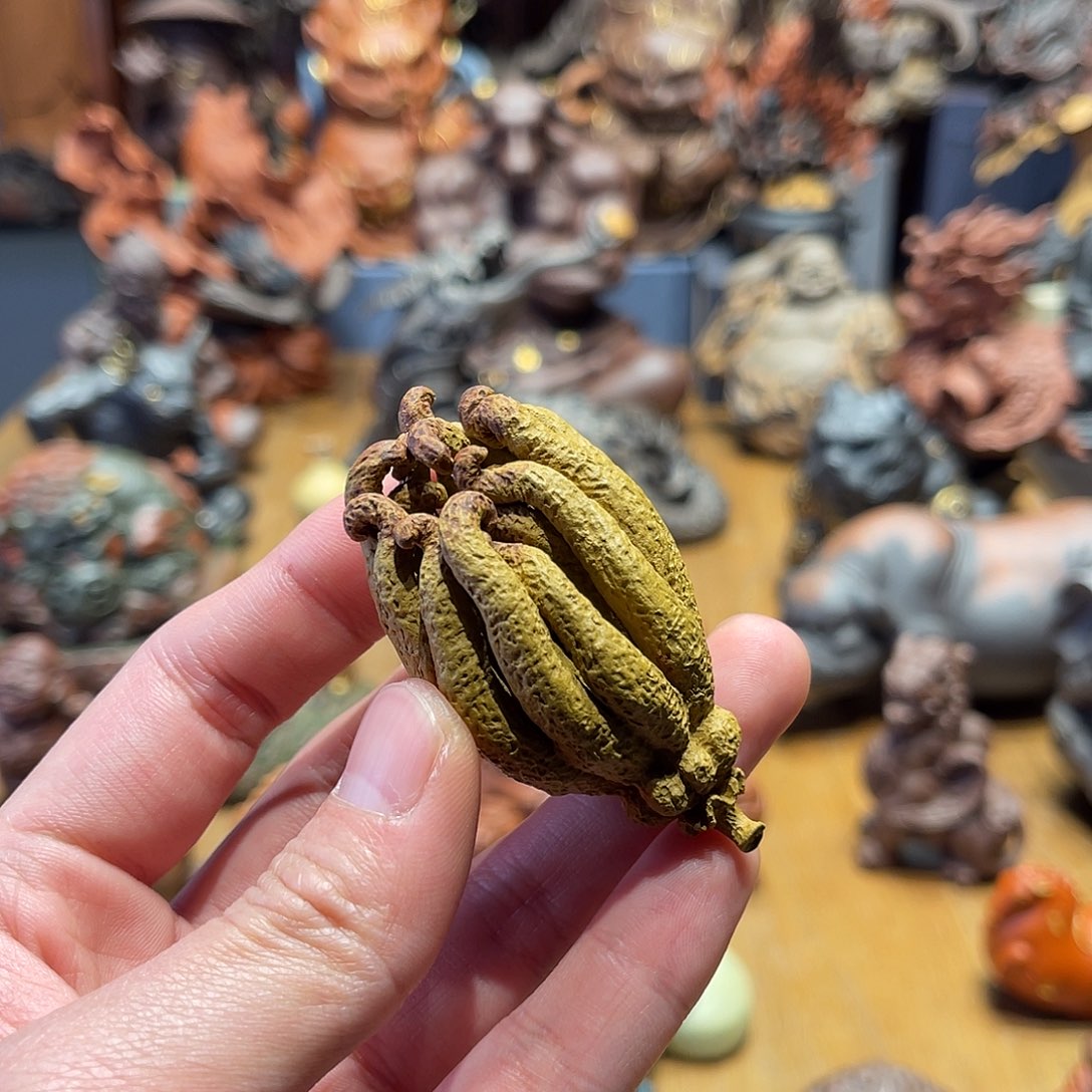 紫砂茶宠紫砂茶宠